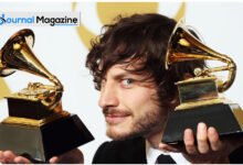 gotye net worth